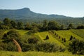 Landscape from Breb village, MaramureÃâ¢ County, Romania.